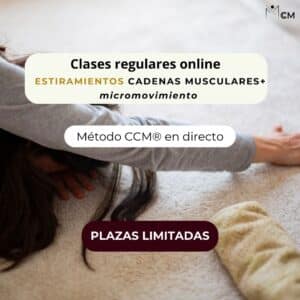 CLASES ONLINE ALUMNOS MES  M.CCM